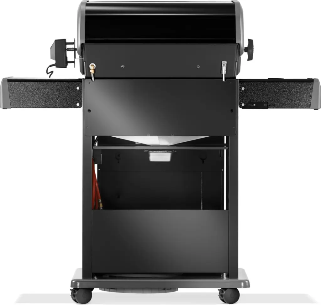 RB425RSBPK-2-CH-R-Web-Gallery-07-Rogue-RB425RSBPK-2-DE-R-Prod-Str-Back.webp
