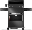 RB425RSBPK-2-CH-R-Web-Gallery-07-Rogue-RB425RSBPK-2-DE-R-Prod-Str-Back.webp