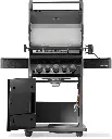 RB425RSBPK-2-CH-R-Web-Gallery-02-Rogue-RB425RSBPK-2-DE-R-Prod-Antmy.webp