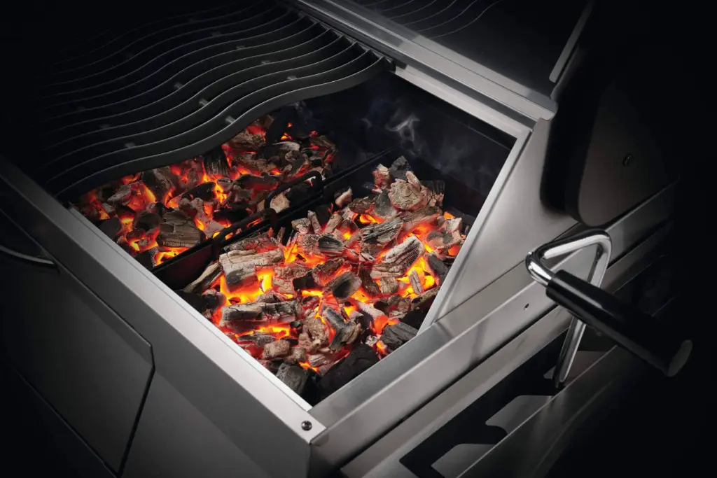PRO605CSS-Web-Gallery-07-PRO605-Detail-CharcoalTray-In-Use.webp