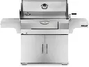 Grill au charbon de bois 605 professionnel